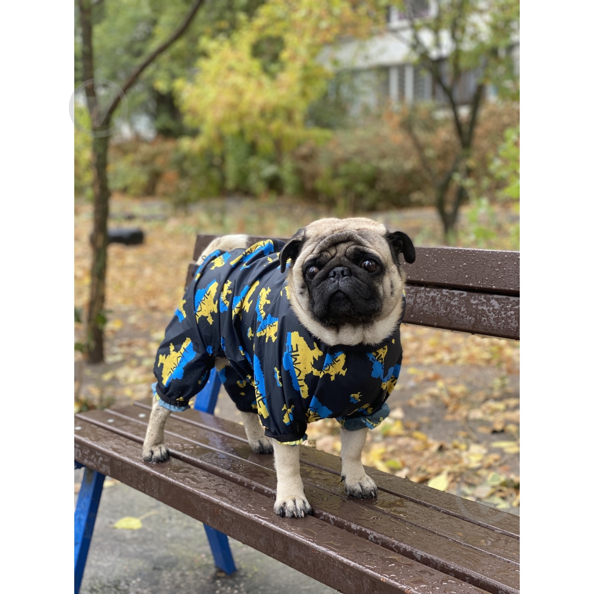 Вітрівка Waudog Clothes малюнок Дім XS22 - фото 6