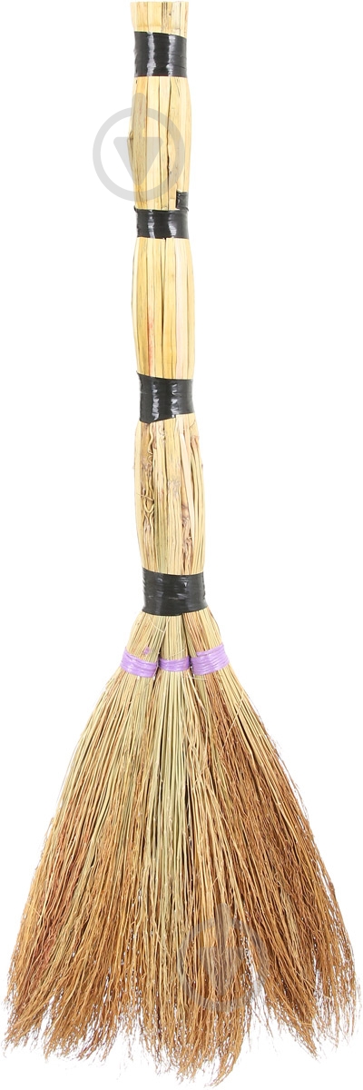 Віник господарський - фото 1 Віник господарський - фото 1