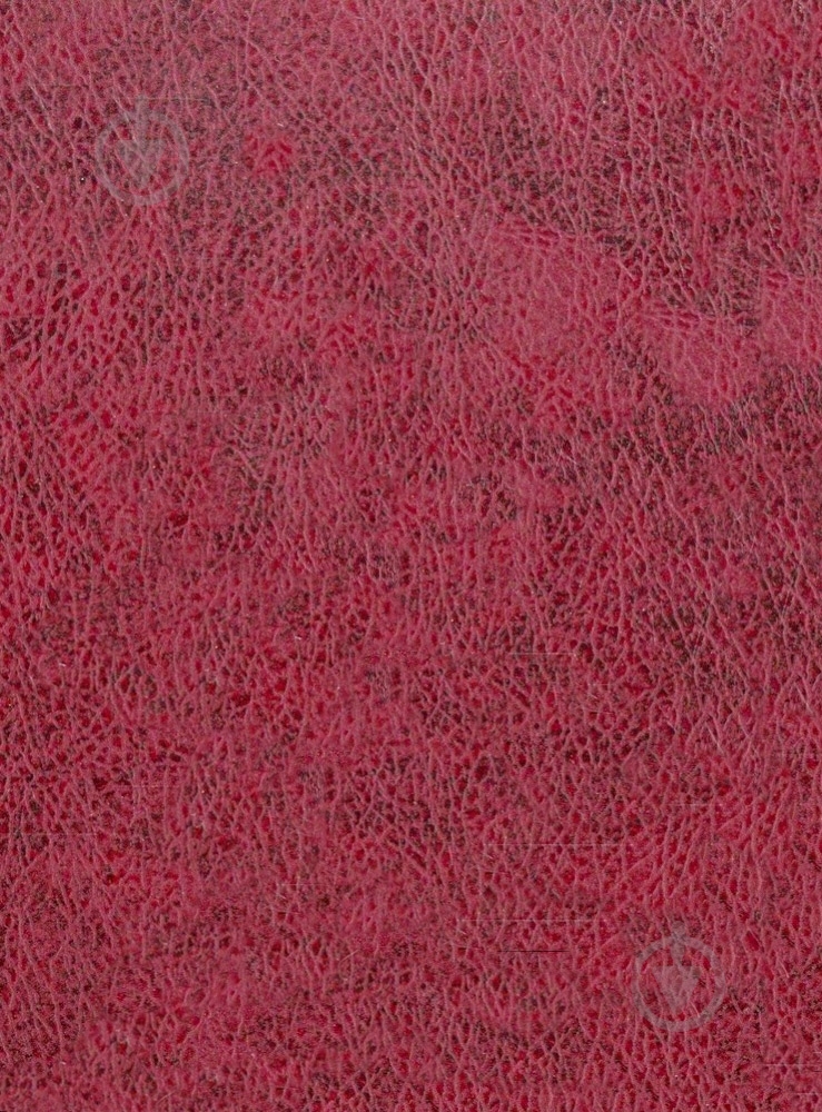 Книга Отто Вейнингер «Пол и характер» 978-966-03-4927-8 - фото 2 Книга Отто Вейнингер «Пол и характер» 978-966-03-4927-8 - фото 2