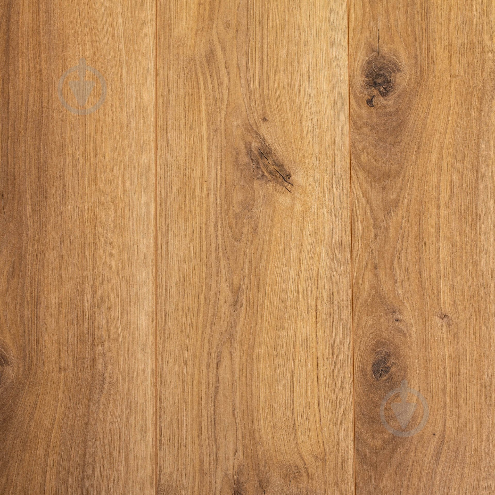 Ламинат PARADOR Basic 400 V4 дуб горизонт натуральный мат 32/АС4/8 мм (1593797) - фото 1