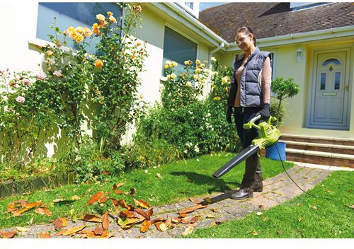 Воздуходув RYOBI с измельчителем RBV3000CSV - фото 6 Воздуходув RYOBI с измельчителем RBV3000CSV - фото 6