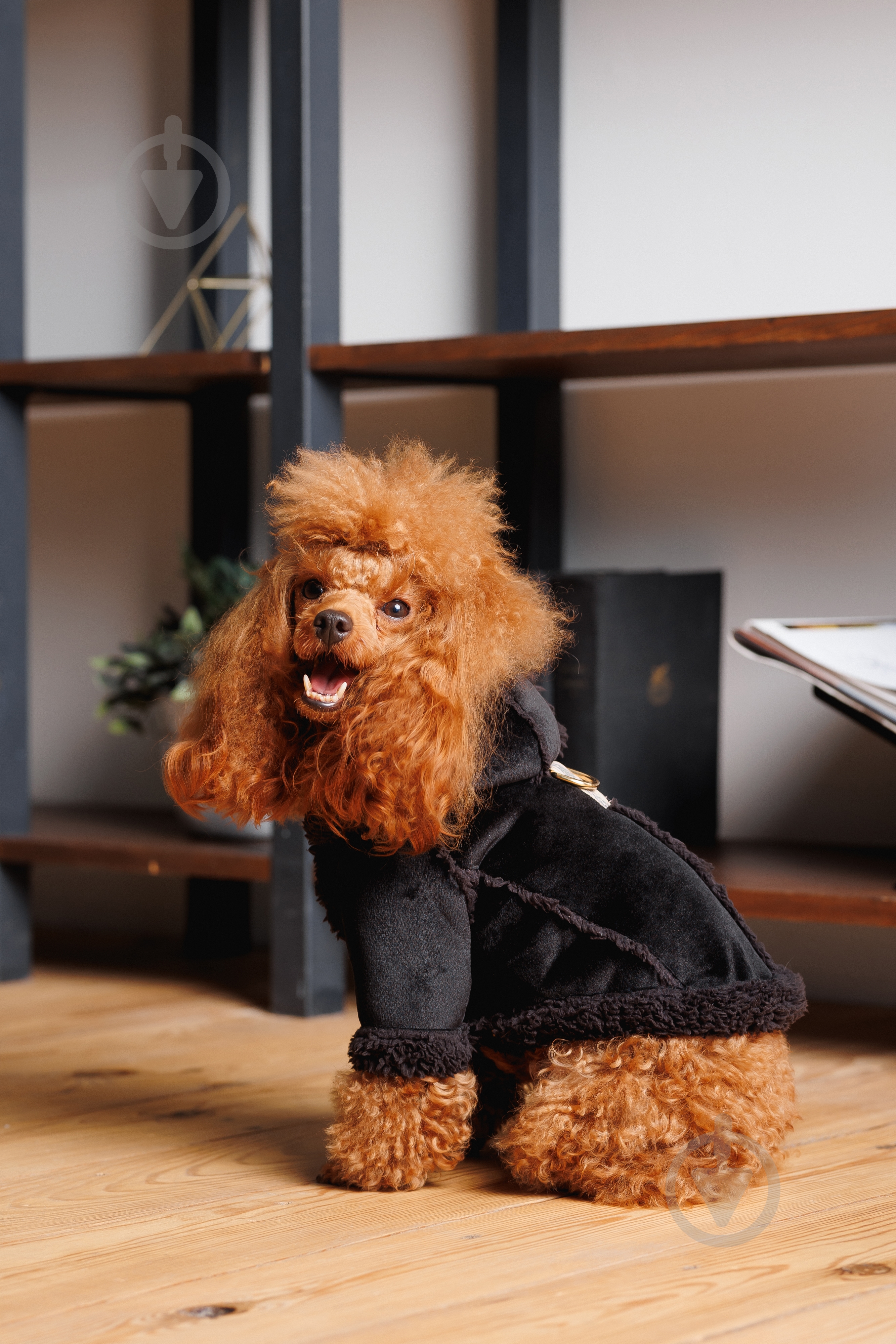 Дубленка Pet Fashion Black S - фото 5