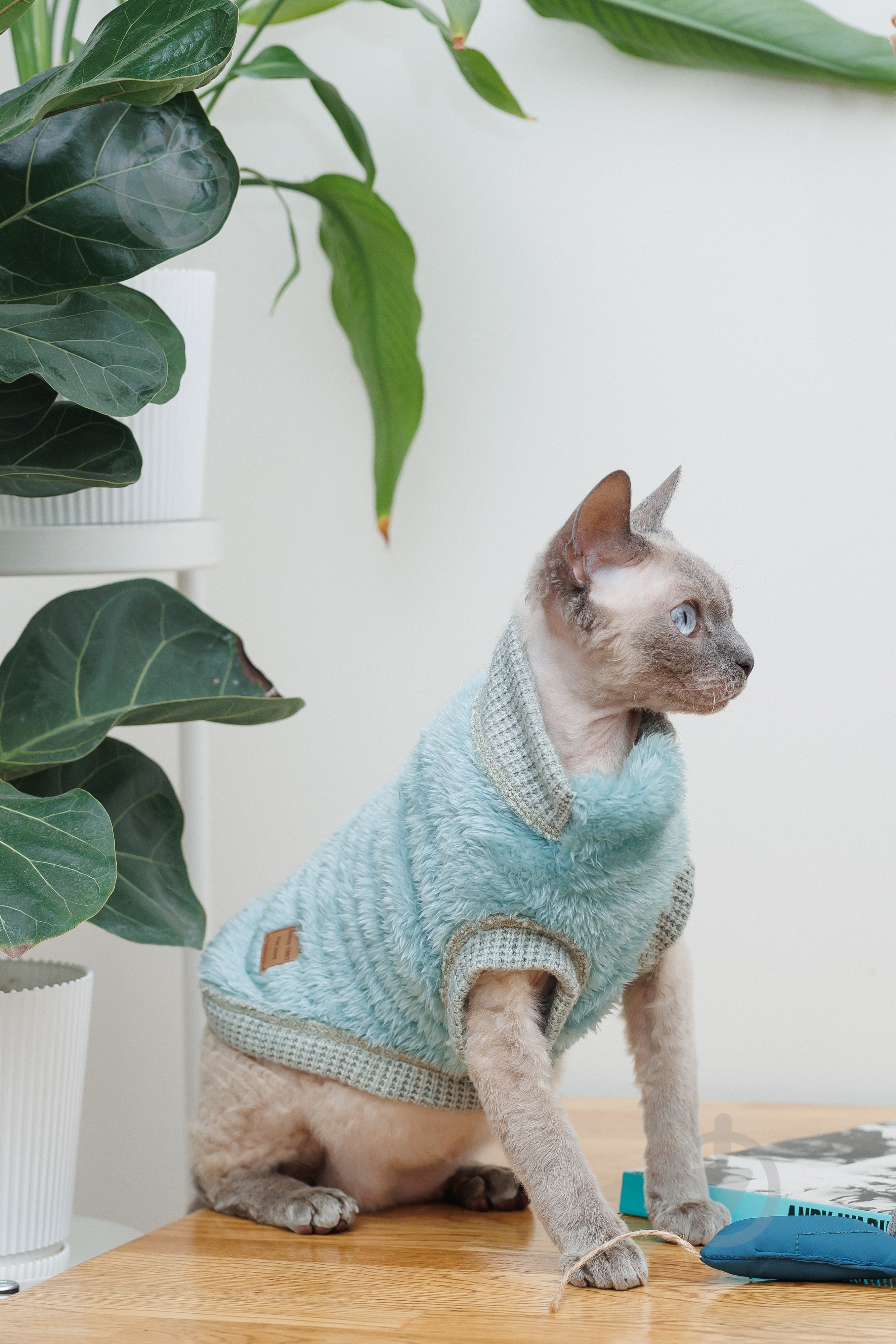 Свитер Tim S мятный - фото 4