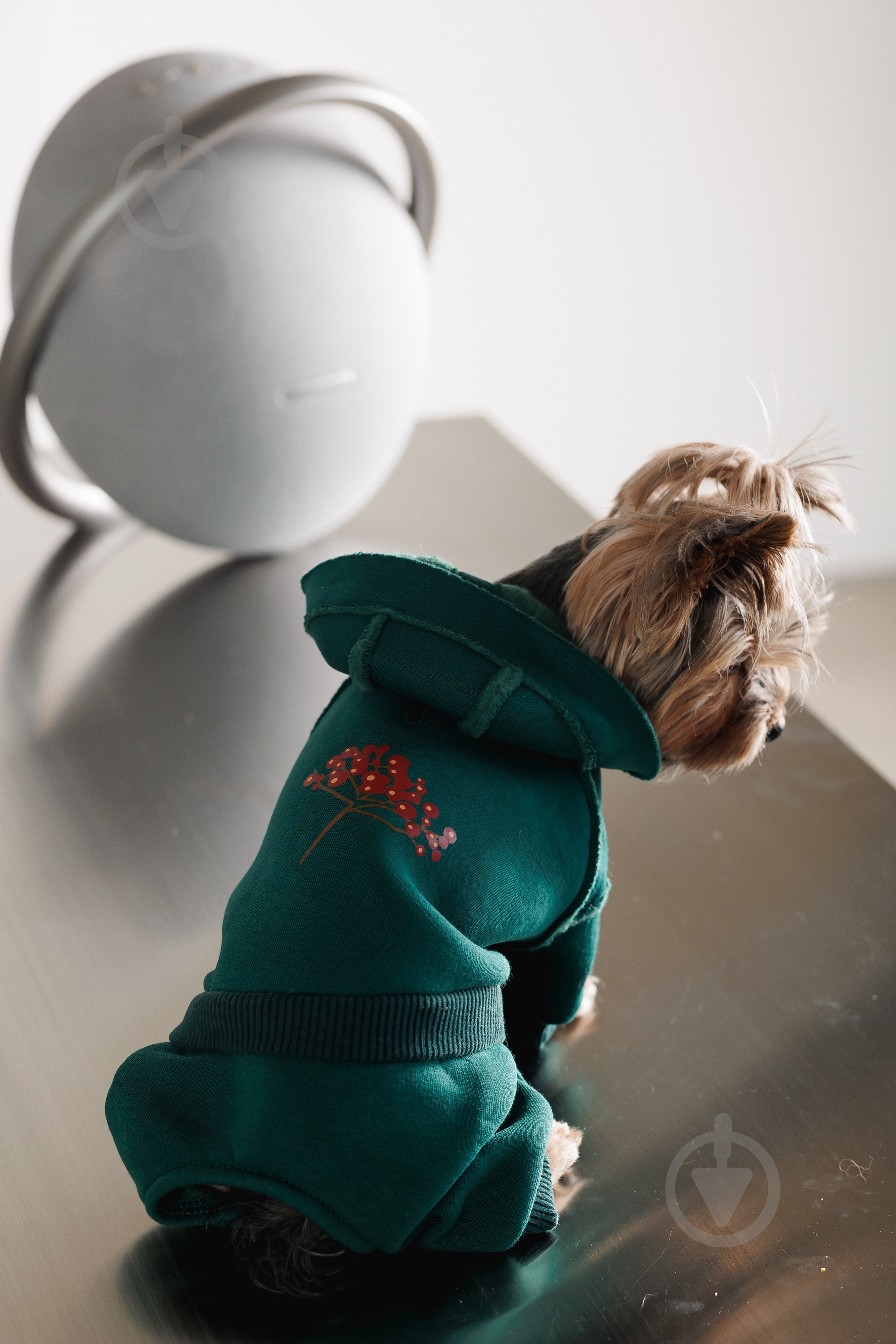 Костюм Pet Fashion Berry S изумруд - фото 4