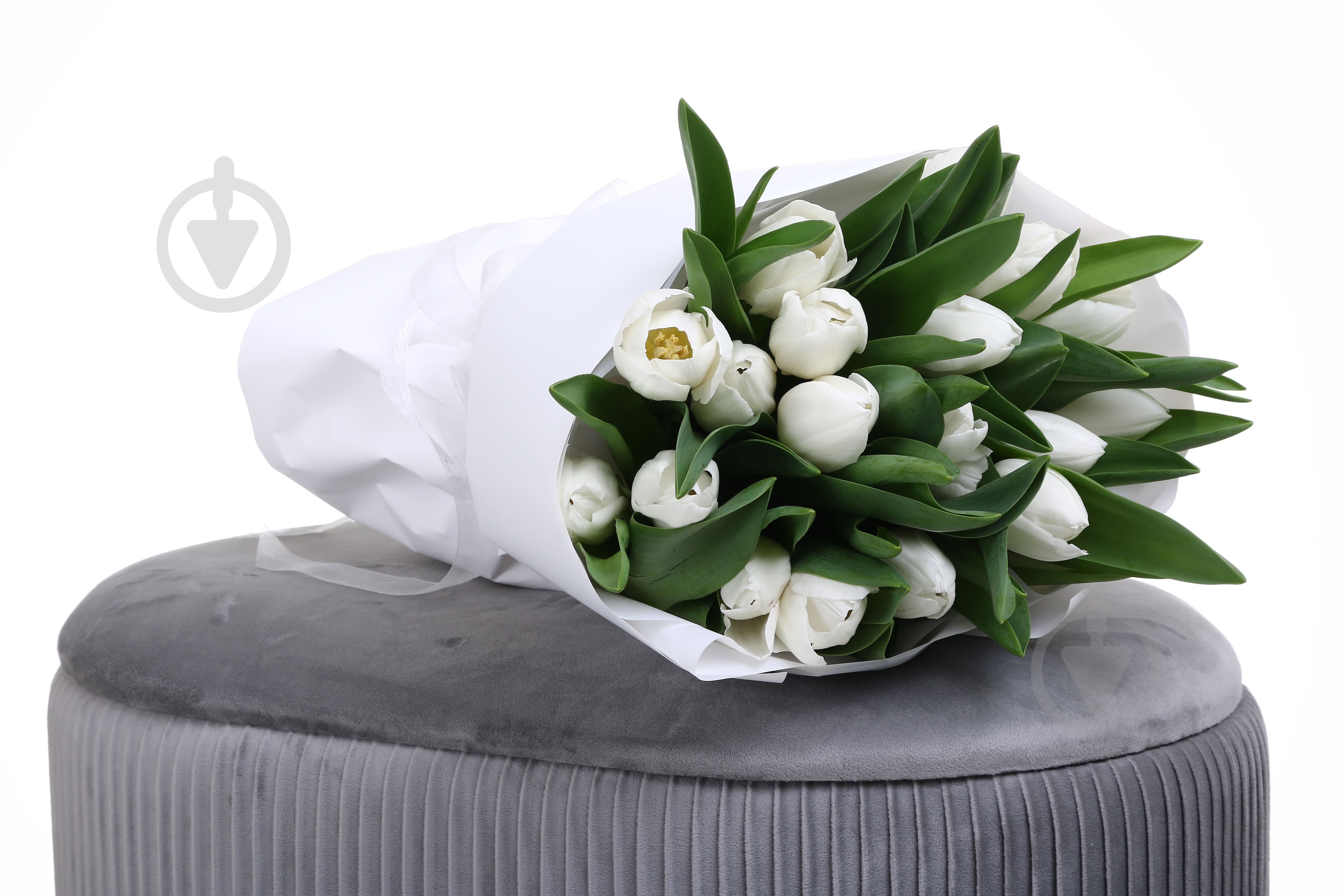 Тюльпан White Marvel одноголова класична білий (Нідерланди) - фото 5 Тюльпан White Marvel одноголова класична білий (Нідерланди) - фото 5