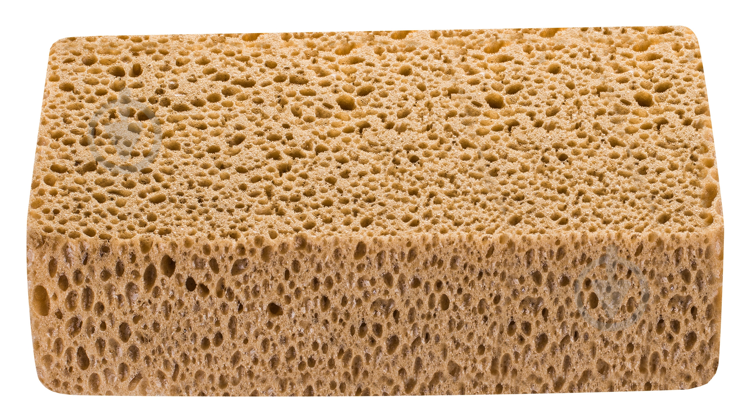 Губка Hardy 2024-132312 - фото 1 Губка Hardy 2024-132312 - фото 1