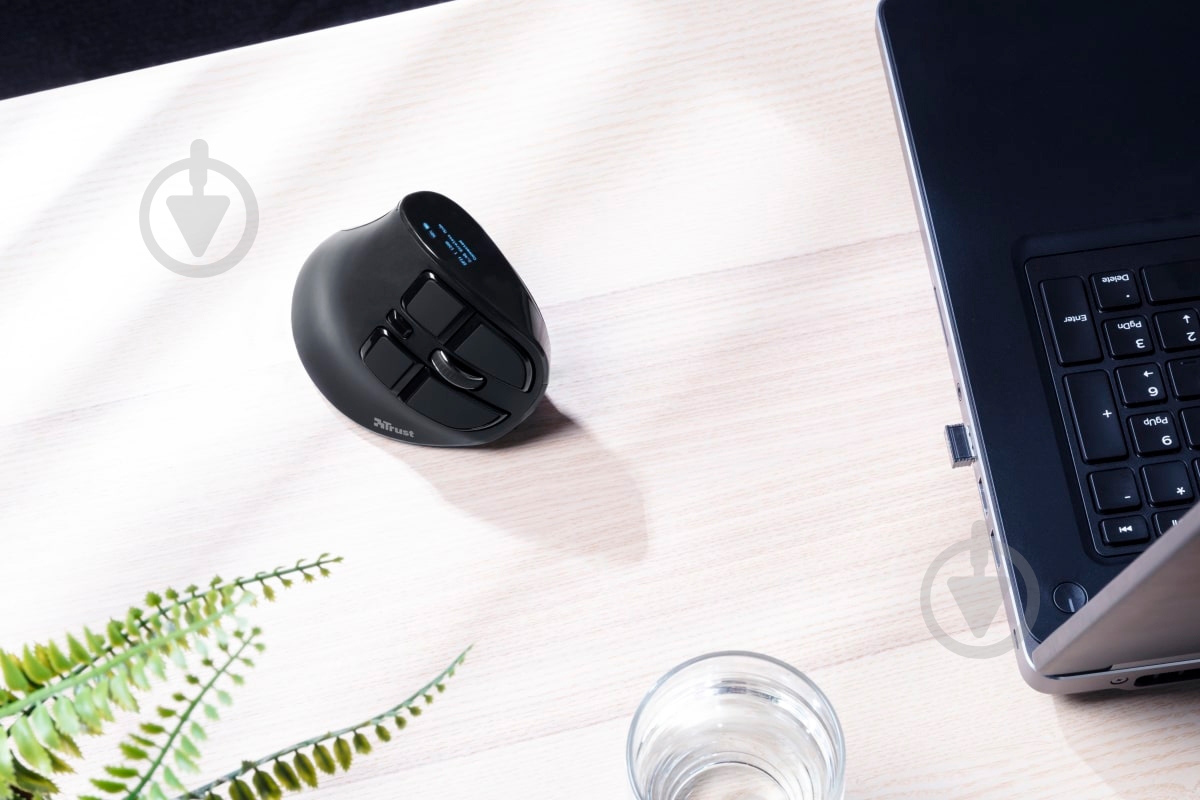 Миша Trust Voxx Rechargeable Ergonomic WL Black (23731) black (23731) - фото 12