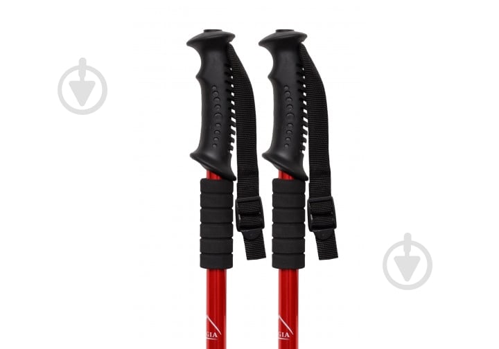 Палка EasyFit Energia для скандинавской ходьбы красная EF-3924 - фото 3 Палка EasyFit Energia для скандинавской ходьбы красная EF-3924 - фото 3