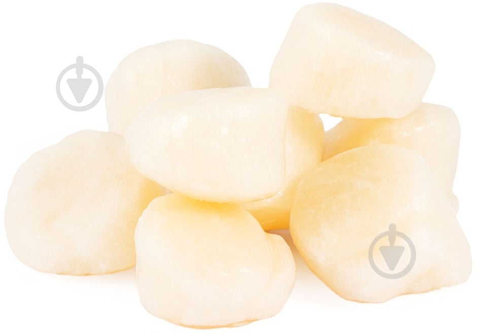 Гребешки 20-30 - фото 1