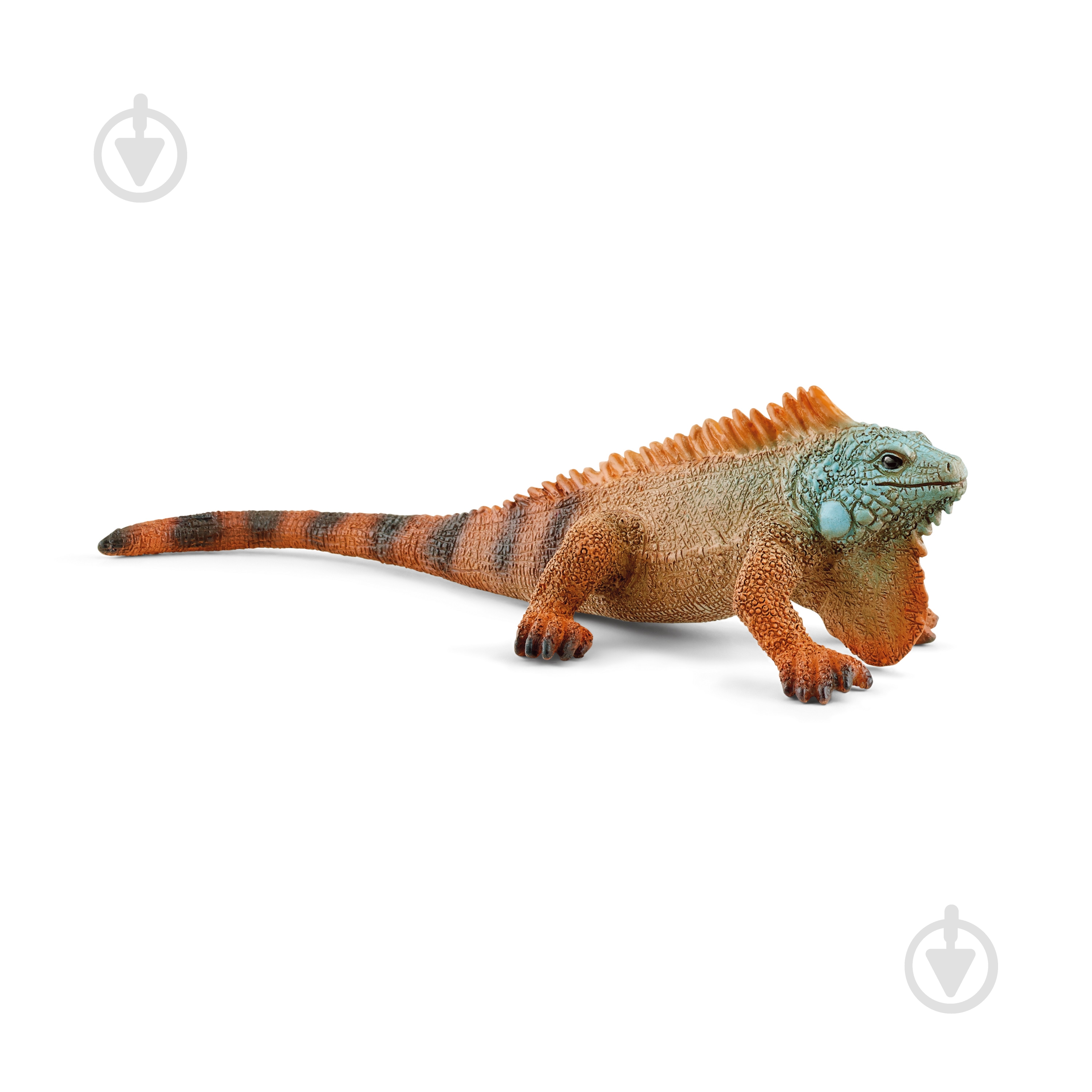 Фигурка Schleich Ігуана арт. 14854 6903233 - фото 1 Фигурка Schleich Ігуана арт. 14854 6903233 - фото 1