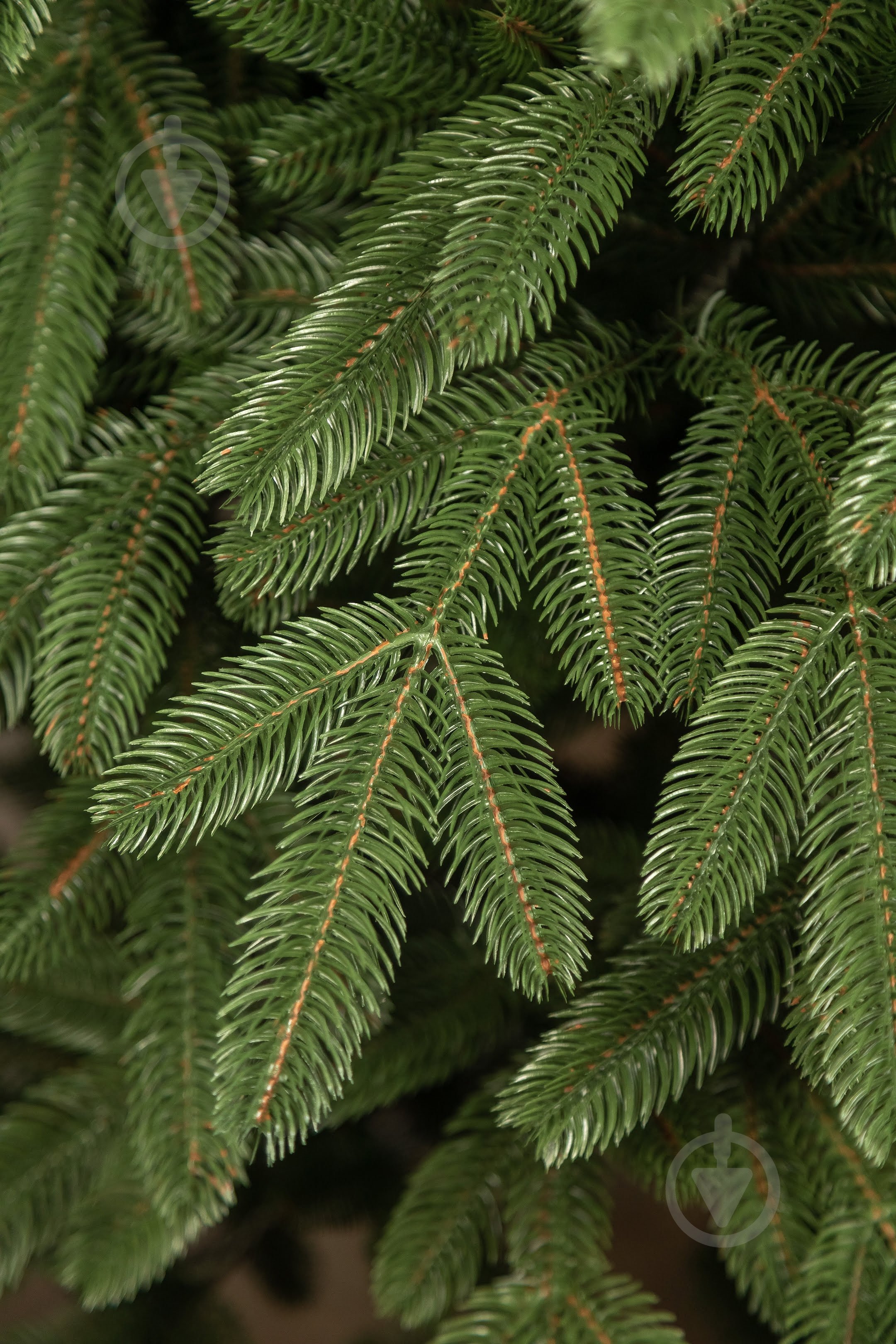 Штучна ялинка лита Лапландська 1,80 м зелена - фото 9 Штучна ялинка лита Лапландська 1,80 м зелена - фото 9
