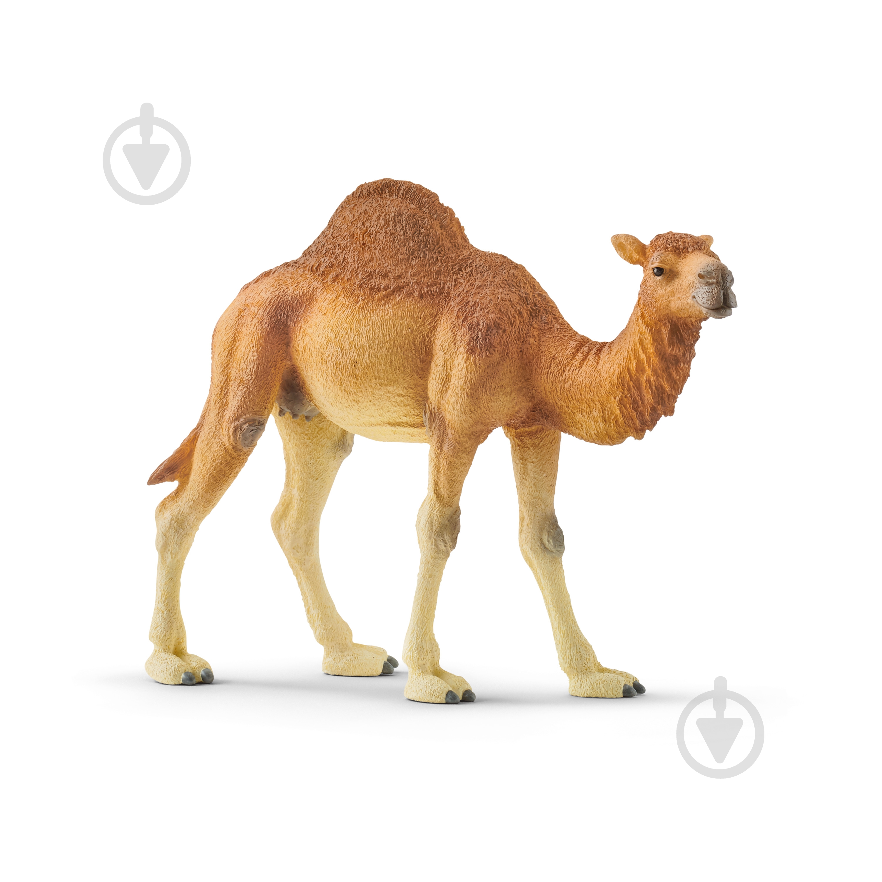 Фигурка Schleich Дромедар арт.14832 6688217 - фото 1