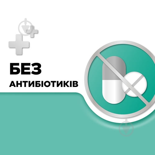 Стрепсилс с ментолом и эвкалиптом №24 (12х2) леденцы - фото 4