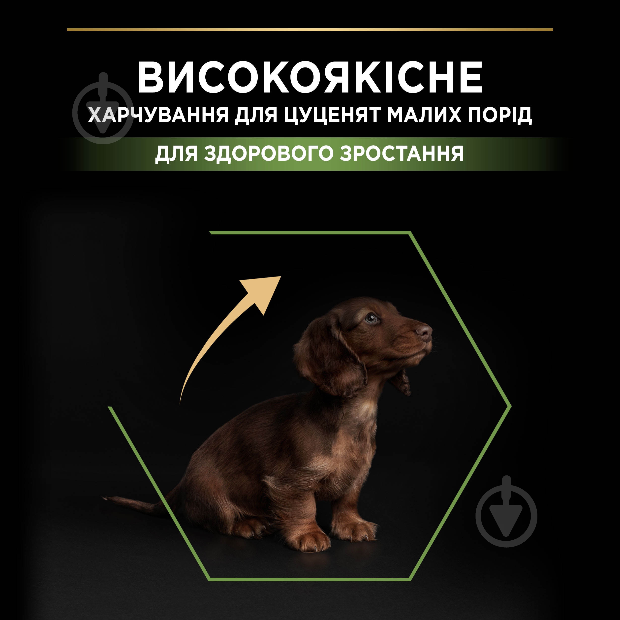 Корм сухой ProPlan by Purina Small & Mini Puppy <1 Healthy Start для щенков с курицей 700 г - фото 5
