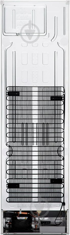 Холодильник LG GW-B509SEZM - фото 15 Холодильник LG GW-B509SEZM - фото 15