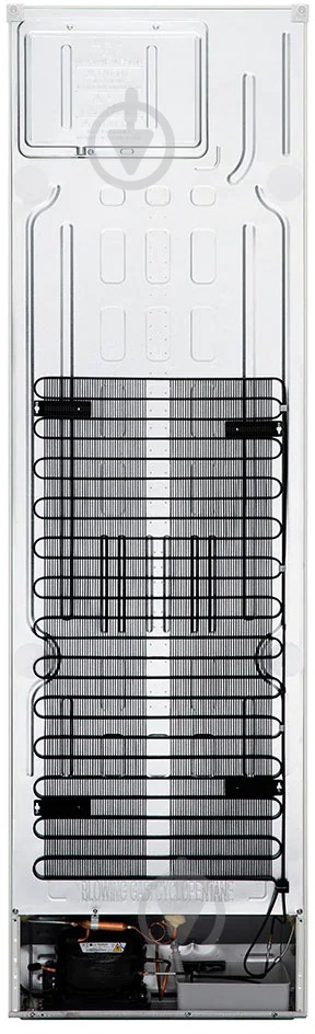 Холодильник LG GW-B509CQZM - фото 6