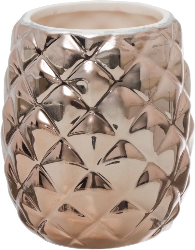 Стакан для зубних щіток Axentia Ананас 128203 - фото 1 Стакан для зубних щіток Axentia Ананас 128203 - фото 1