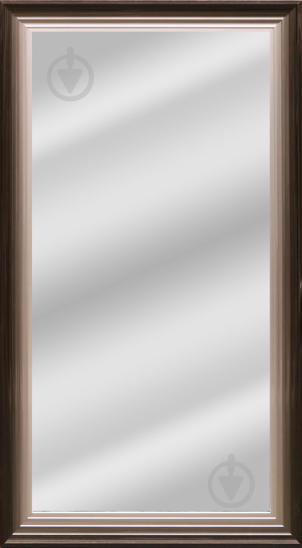 Дзеркало ЭЗ-00151 60х120 - фото 1