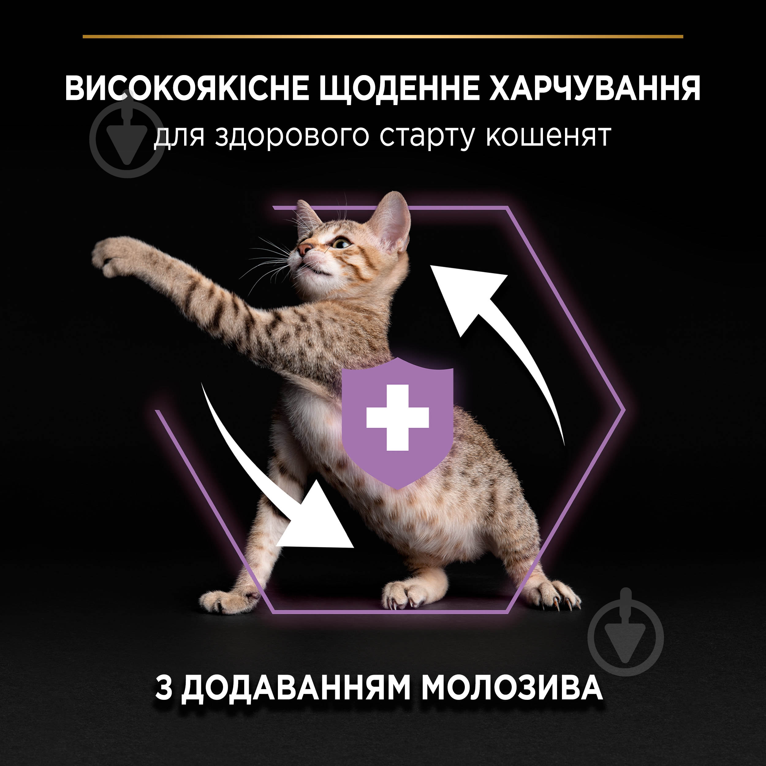 Корм сухой для котят ProPlan by Purina Kitten <1 Healthy Start с курицей 400 г - фото 4