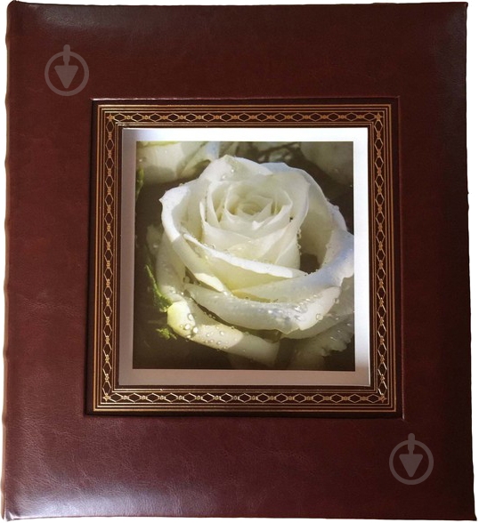 Фотоальбом EVG 20sheet S29x32 Gris brown - фото 1 Фотоальбом EVG 20sheet S29x32 Gris brown - фото 1