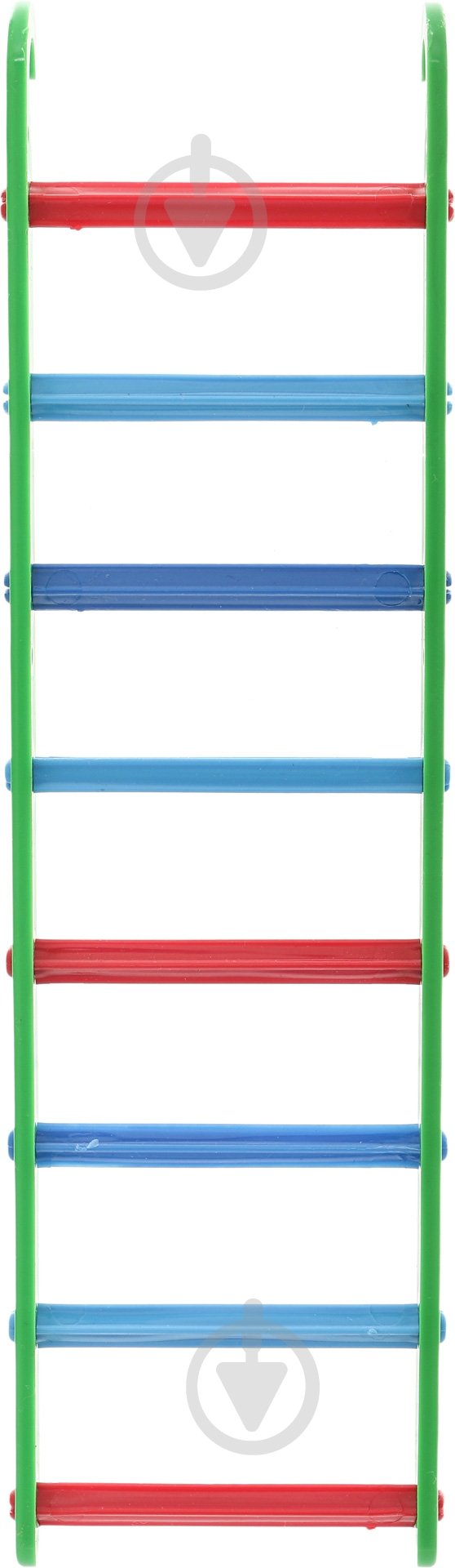 Лестница Природа для птиц разноцветная 20х6 см - фото 2