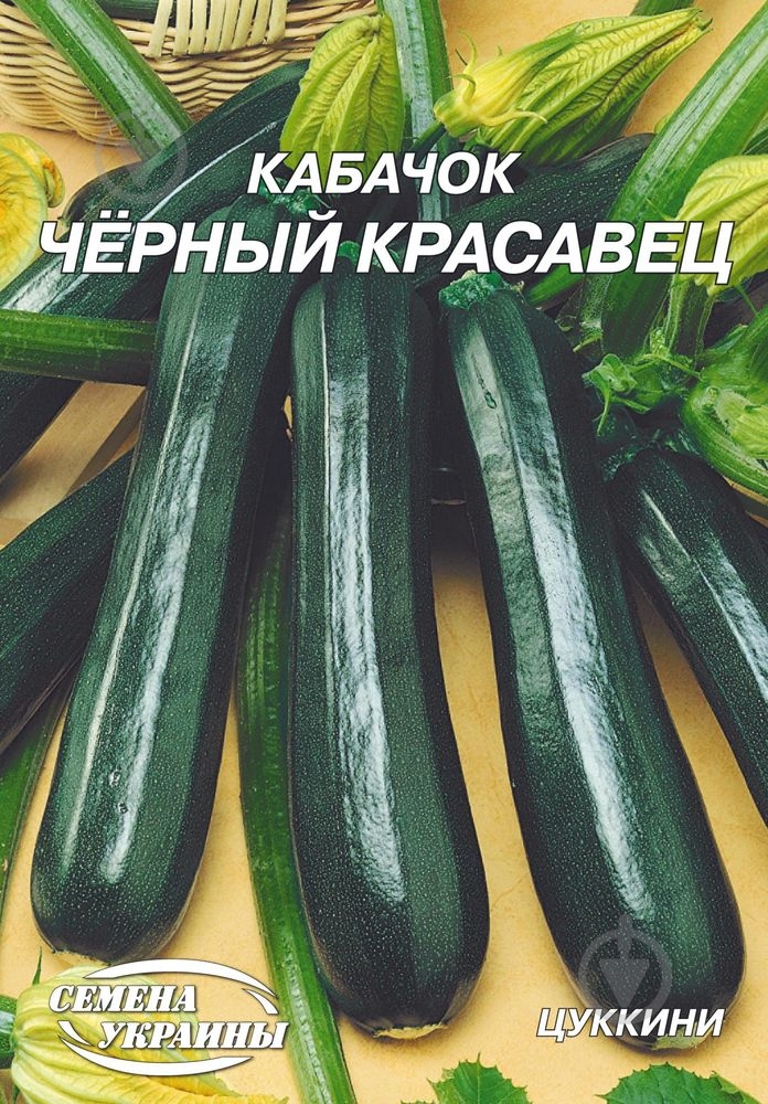 Семена кабачок Черный красавец 20 г Насіння України - фото 1