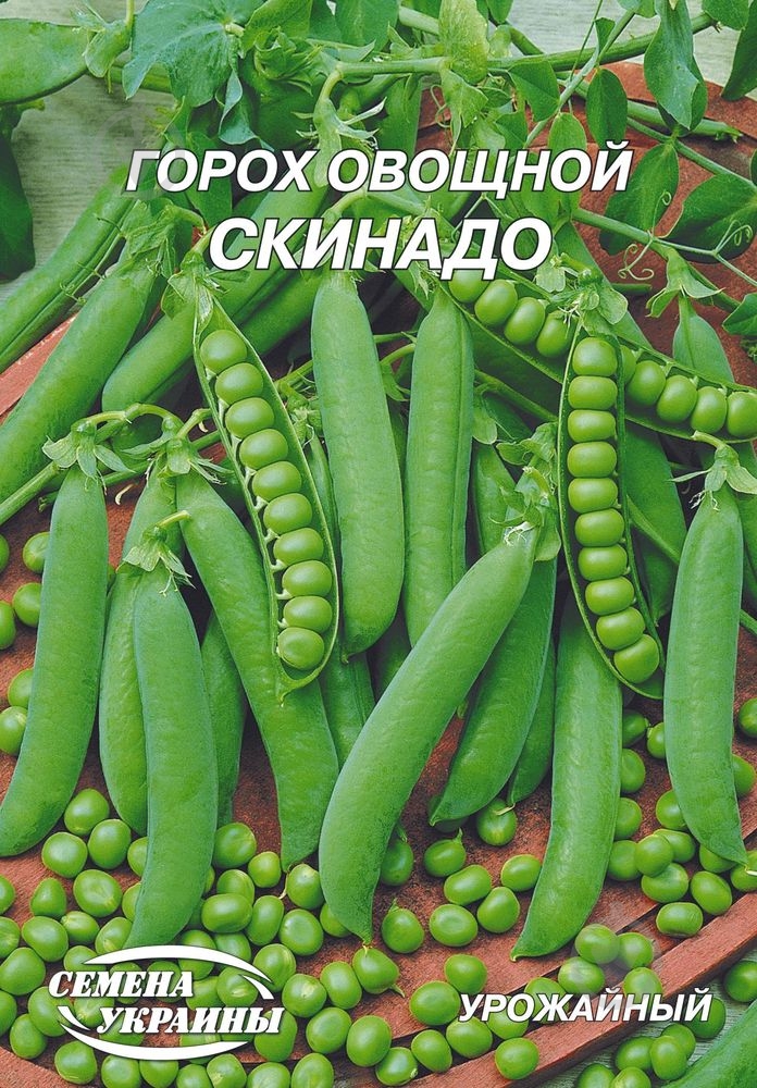 Семена горох овощной Скинадо 20 г Насіння України - фото 1