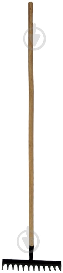 Грабли зубчатые с черенком - фото 1 Грабли зубчатые с черенком - фото 1