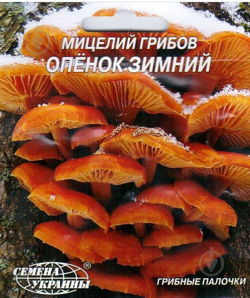 Мицелий Семена Украины Опенок зимний 10 шт. - фото 1
