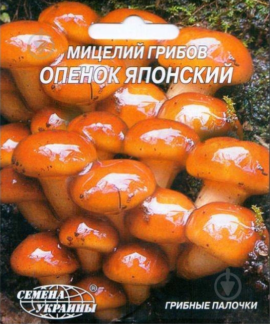 Мицелий Семена Украины Опенок японский 10 шт. - фото 1