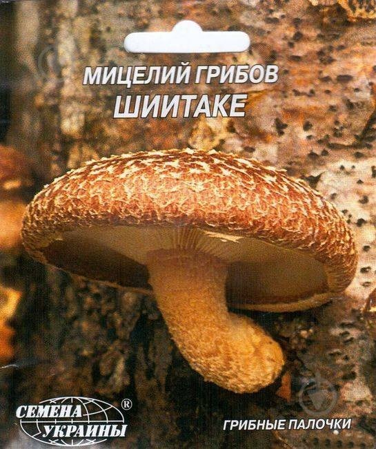 Мицелий Семена Украины Шиитаке 10 шт. - фото 1 Мицелий Семена Украины Шиитаке 10 шт. - фото 1