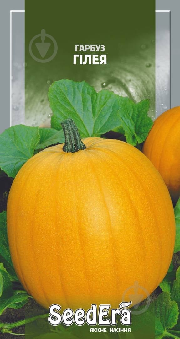 Семена SeedEra тыква Гилея 3 г (4823073702550) - фото 1