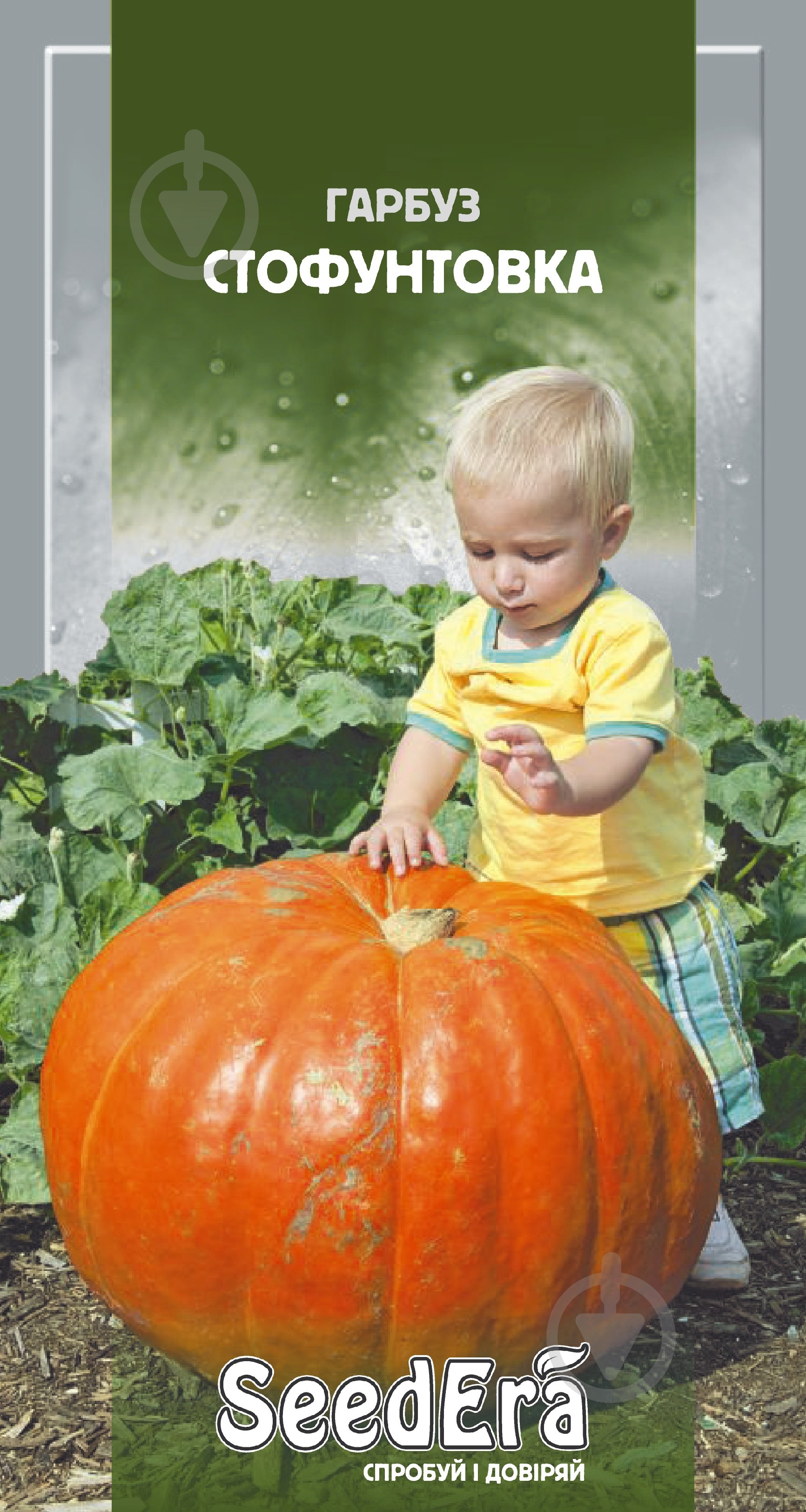 Семена SeedEra тыква Стофунтовка 3 г (4823073702581) - фото 1