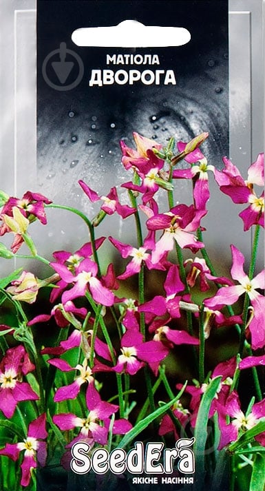 Семена Seedera маттиола Двурогая 1 г - фото 1