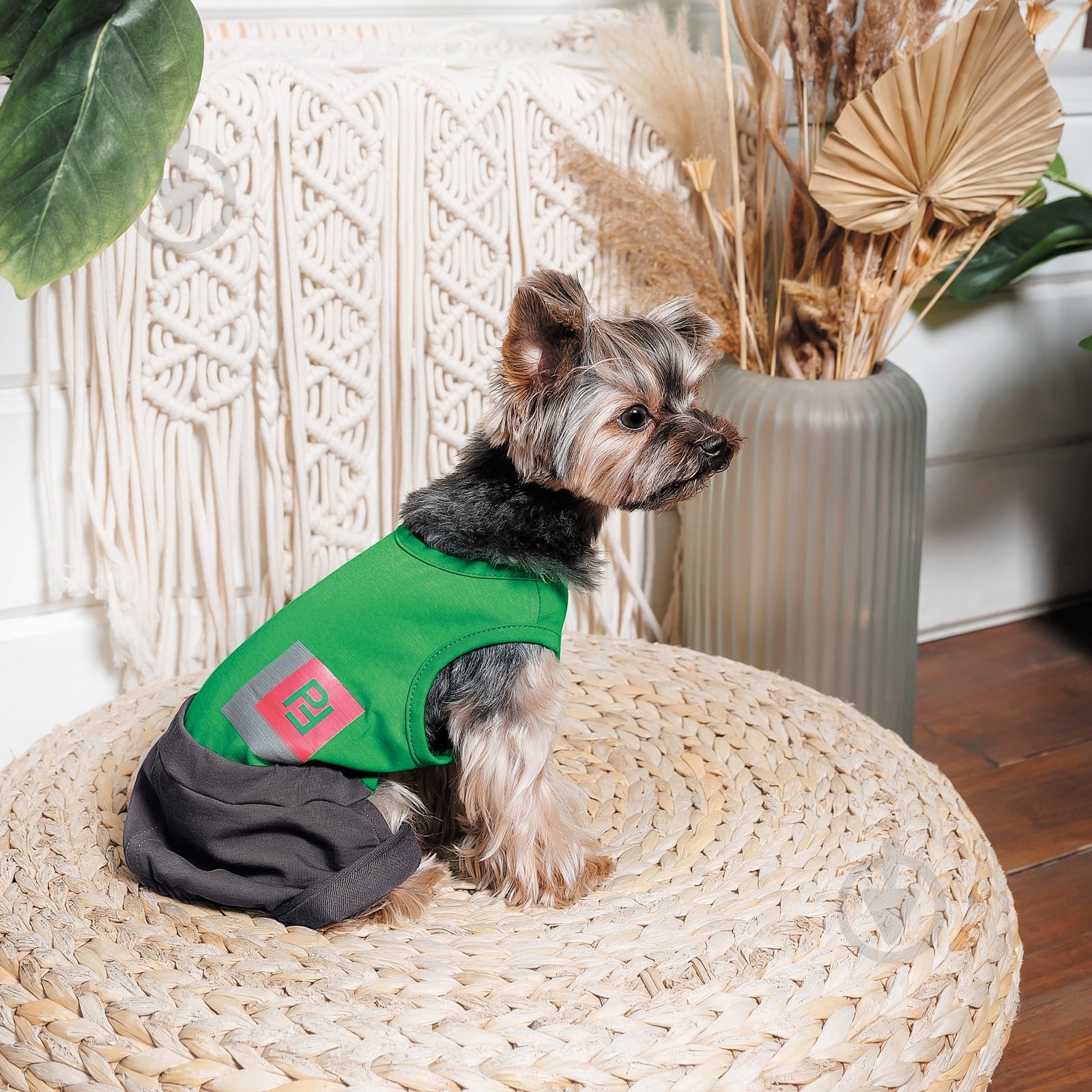 Костюм Pet Fashion Aleks р. M - фото 3