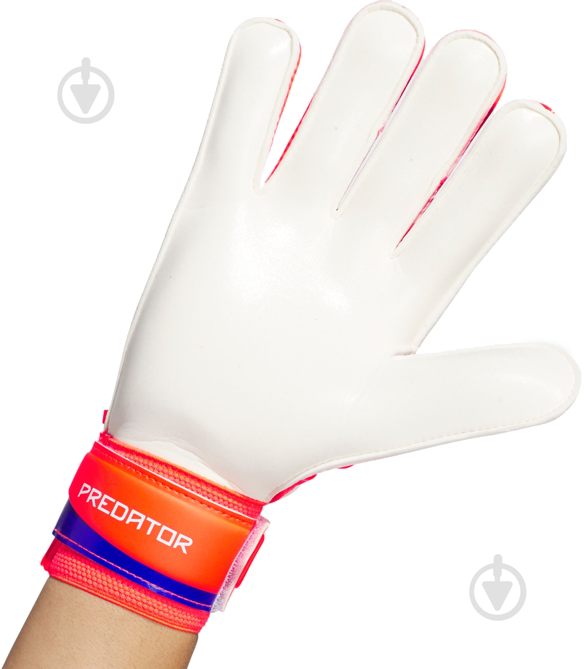 Воротарські рукавиці Adidas PREDATOR TRAINING IX3870 9 синій - фото 3