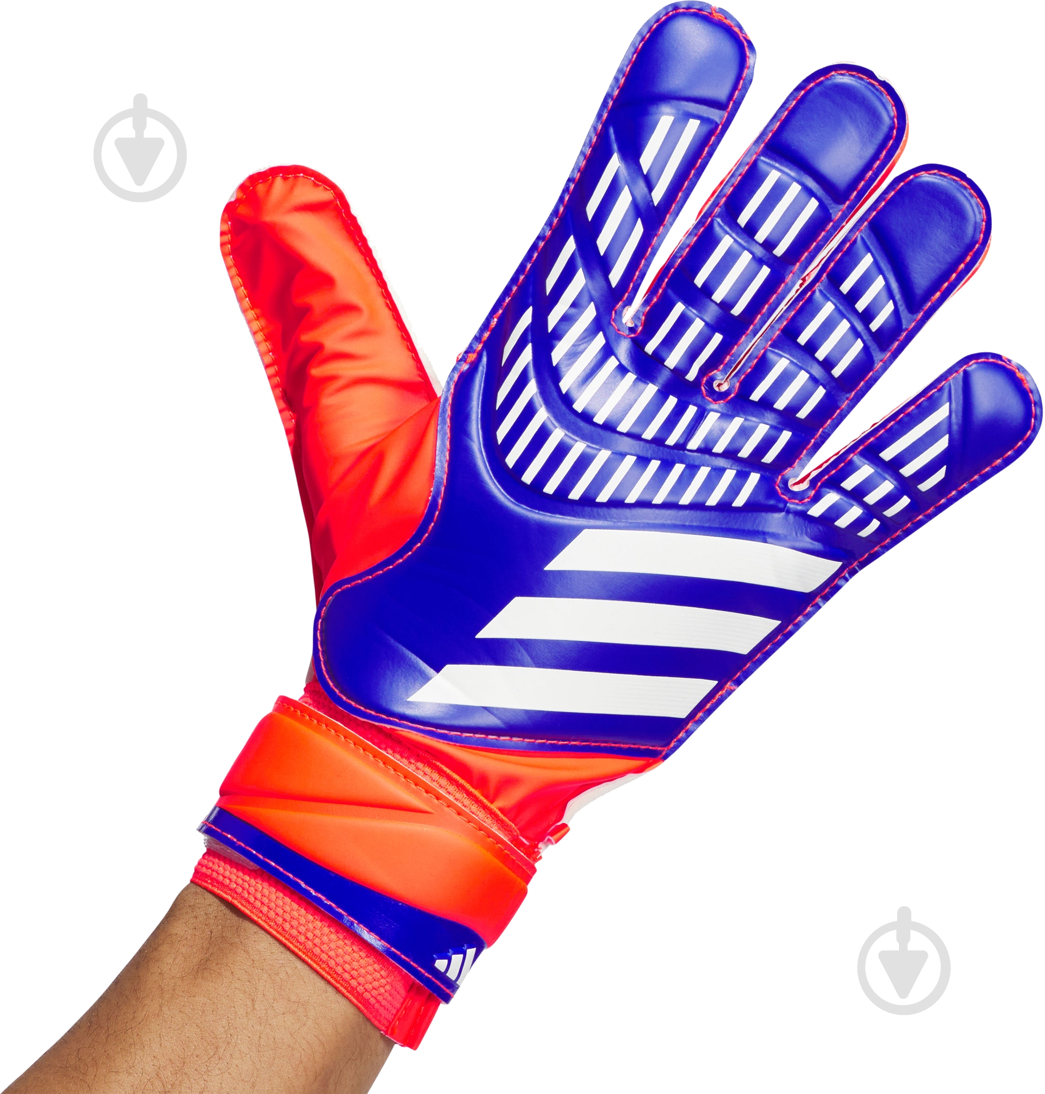 Воротарські рукавиці Adidas PREDATOR TRAINING IX3870 9 синій - фото 2