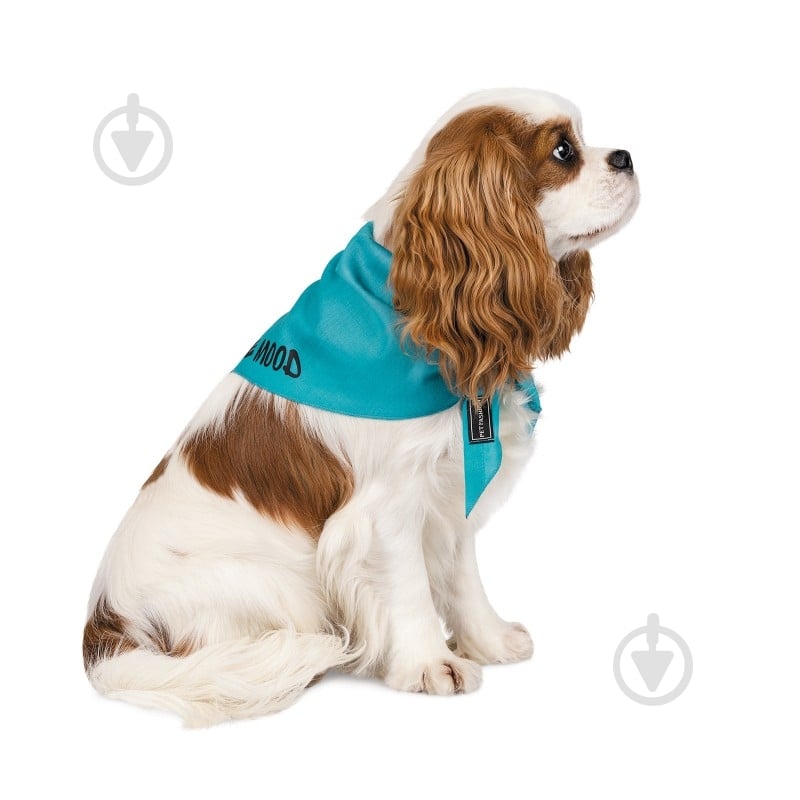 Бандана Pet Fashion WEEKEND р. M-XL голубая - фото 2 Бандана Pet Fashion WEEKEND р. M-XL голубая - фото 2