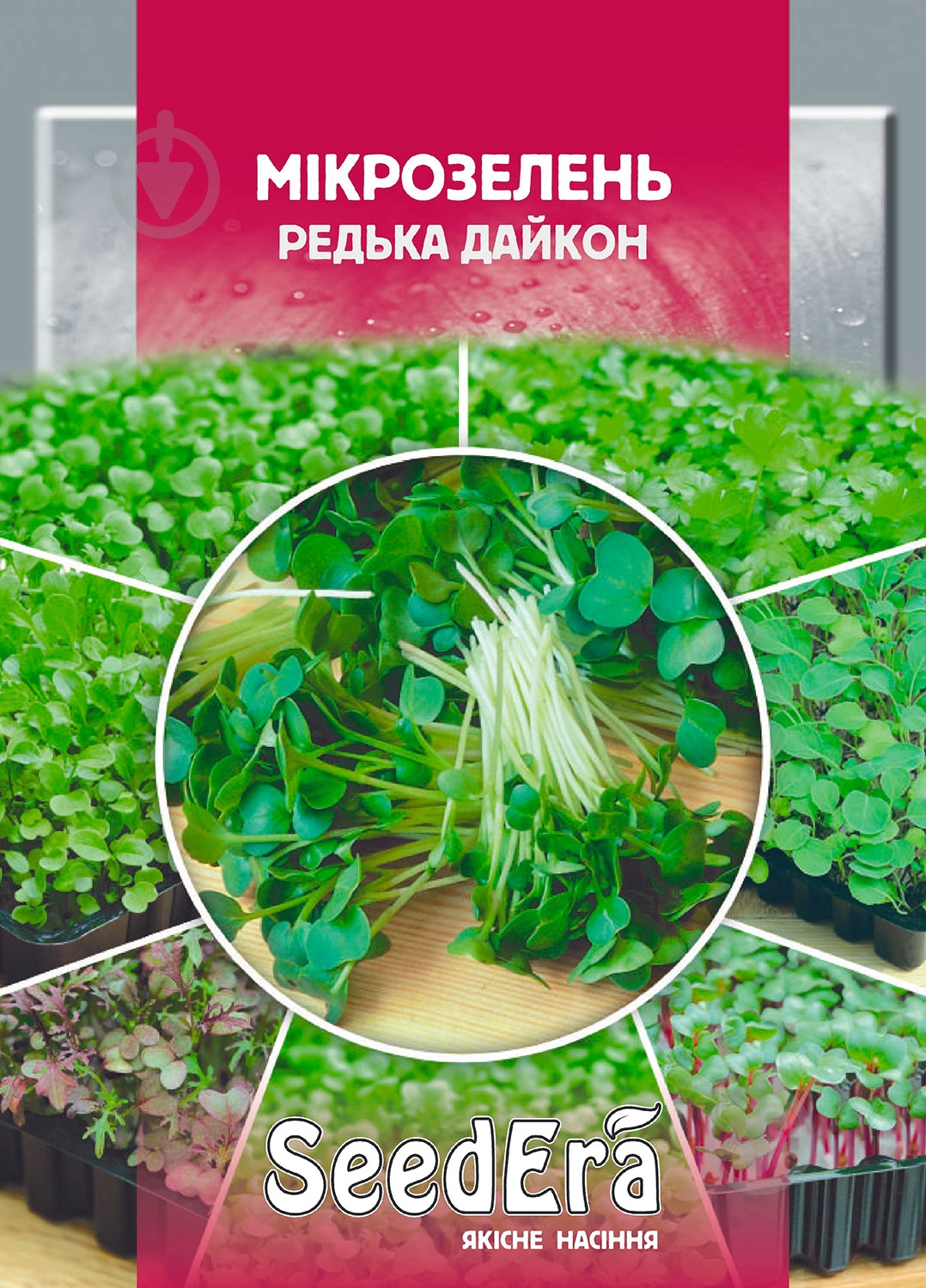 Семена редька Дайкон микрозелень 10 г SeedEra - фото 1