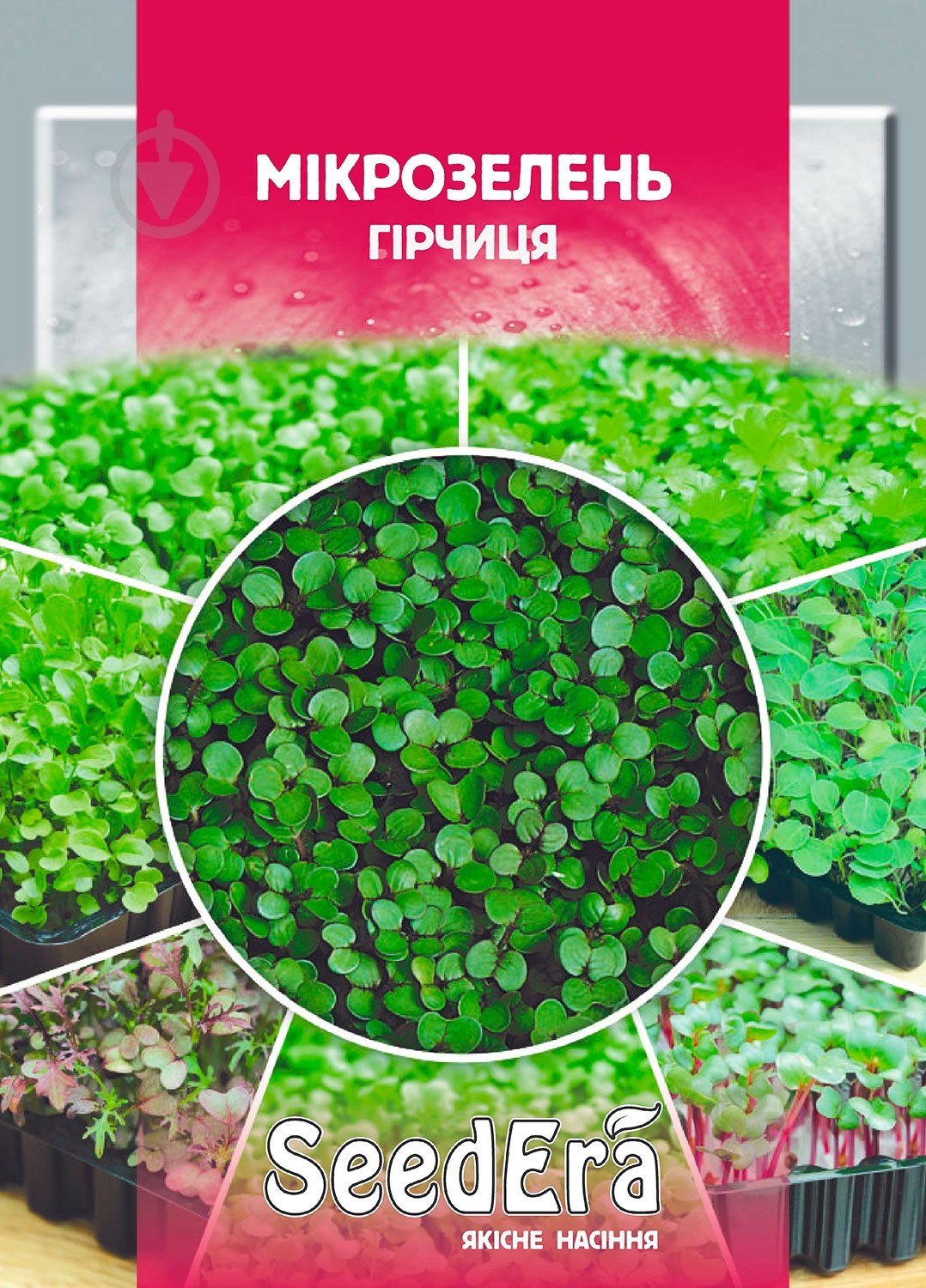 Семена Seedera горчица мікрозелень 10 г - фото 1