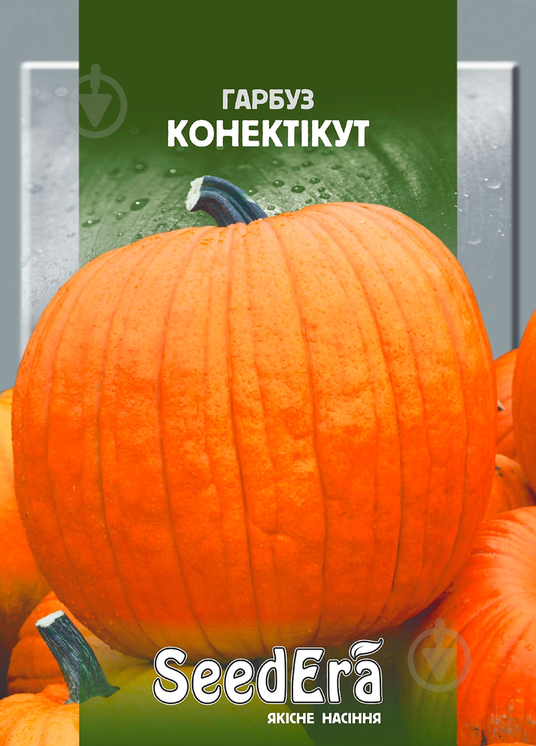 Насіння гарбуз Конектікут 20 г SeedEra - фото 1