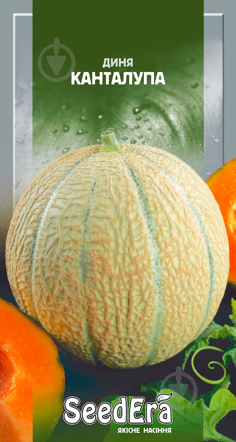 Семена SeedEra дыня Канталупа 10 шт. (4823073719725) - фото 1