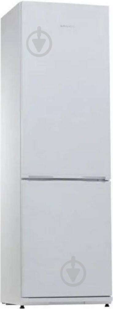 Холодильник Snaige RF36NG-P10026 - фото 1