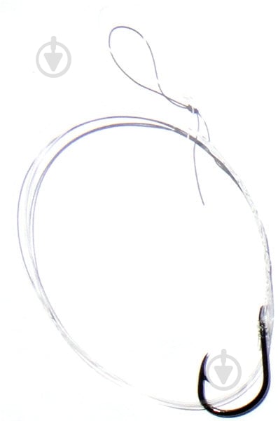 Поводки с крючками MiniMax 10 шт. SW-014 Koiso # 2/0.22 BLN - фото 1 Поводки с крючками MiniMax 10 шт. SW-014 Koiso # 2/0.22 BLN - фото 1