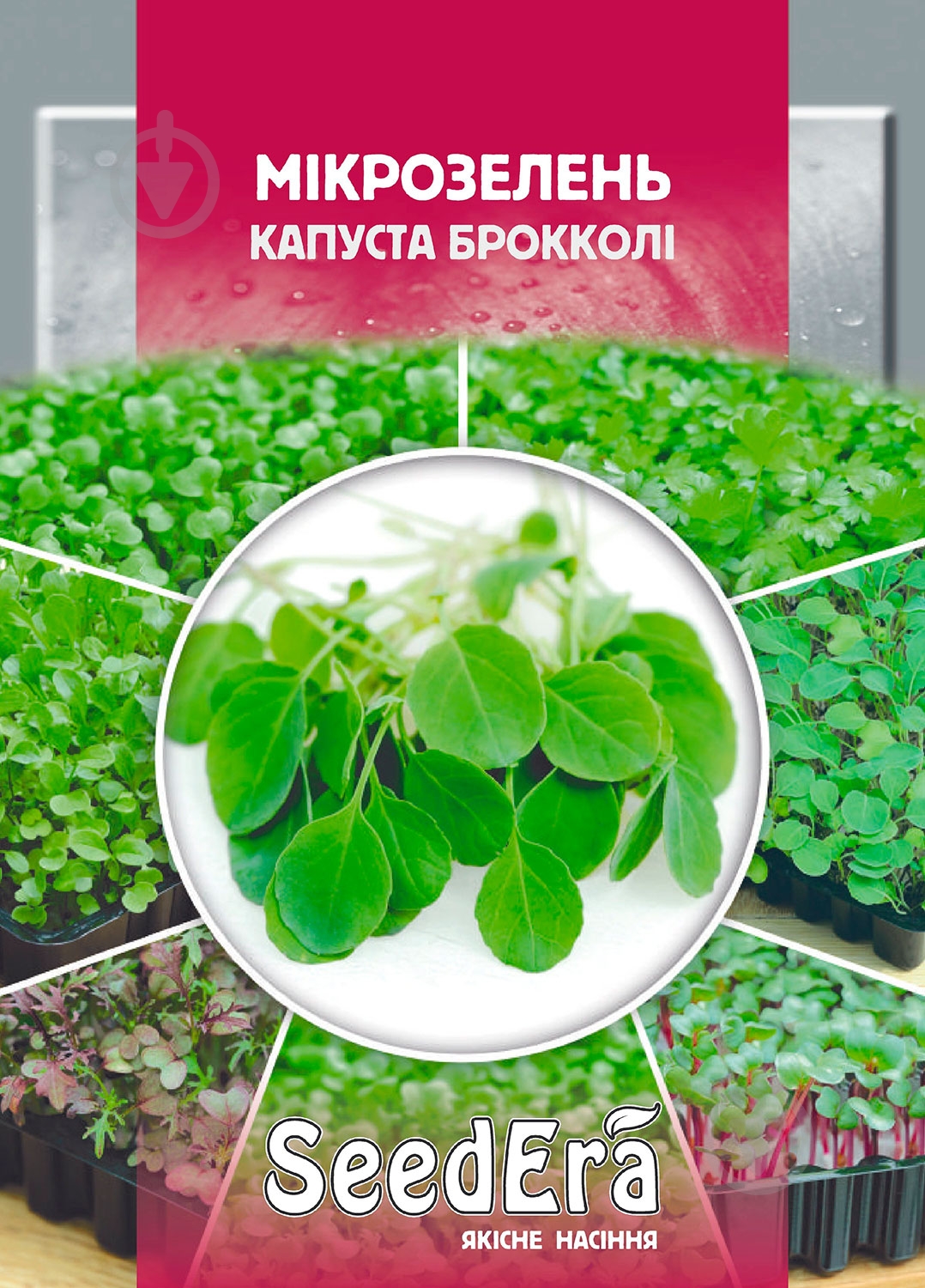Семена капуста брокколи микрозелень 10 г SeedEra - фото 1