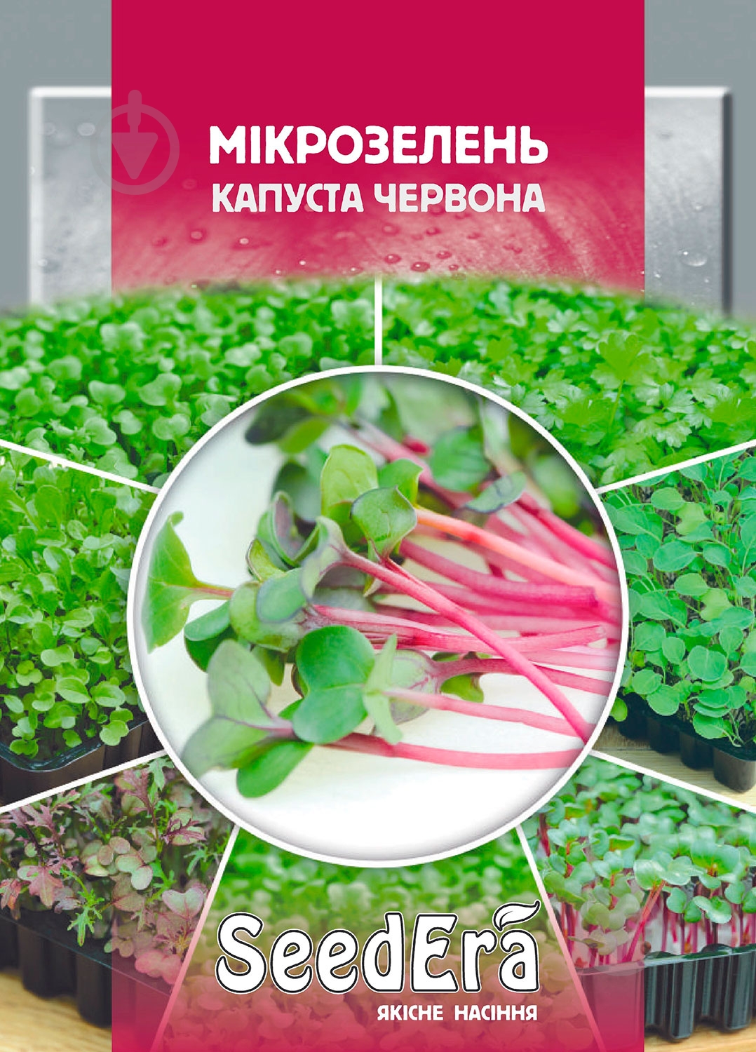 Семена капуста красная микрозелень 10 г SeedEra - фото 1 Семена капуста красная микрозелень 10 г SeedEra - фото 1