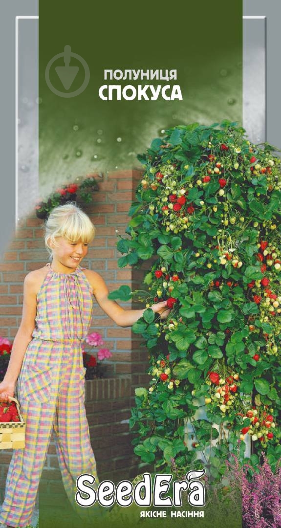 Насіння полуниця спокуса 0,01 г SeedEra - фото 1