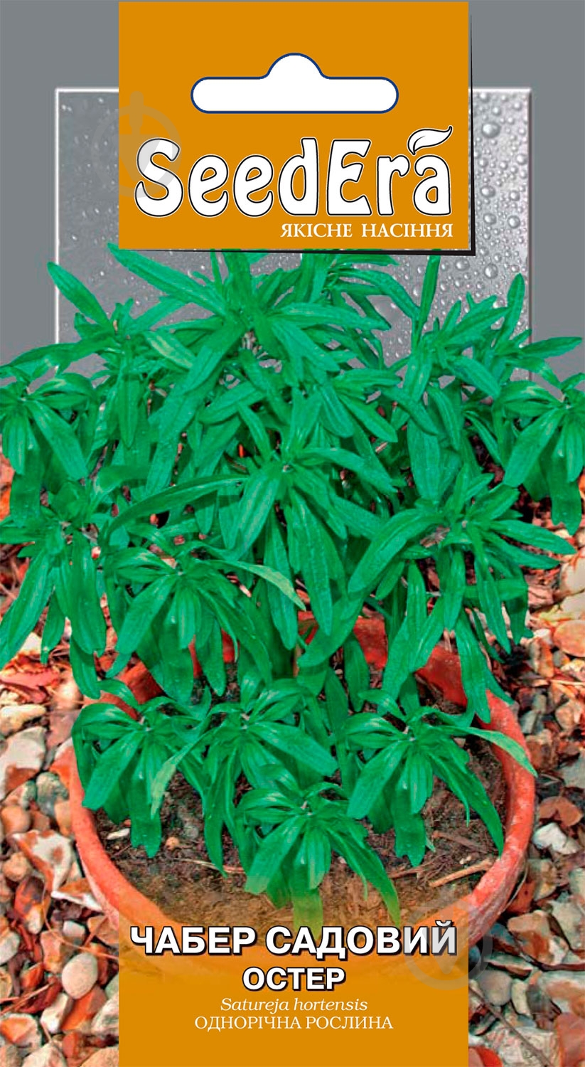 Семена Seedera чабер Остер 0,5 г - фото 1