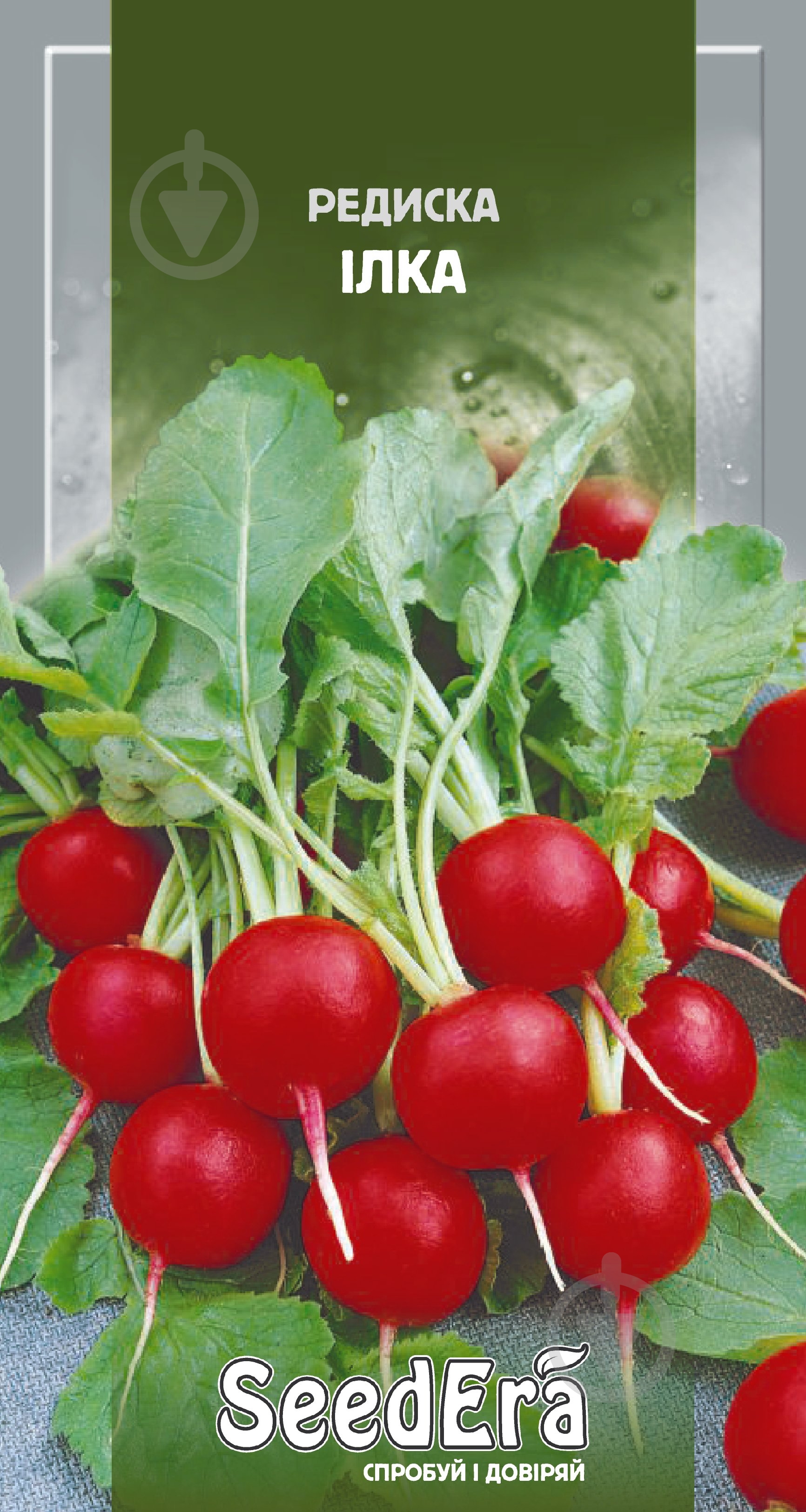 Семена SeedEra редис Илка 2 г (4823073702017) - фото 1 Семена SeedEra редис Илка 2 г (4823073702017) - фото 1