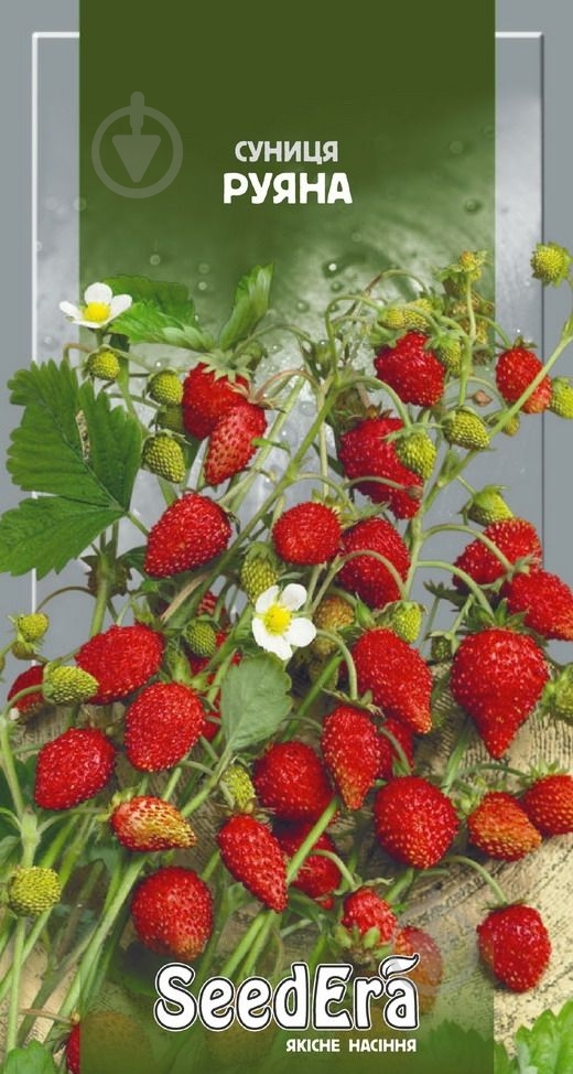 Насіння суниця руяна 0,05 г SeedEra - фото 1